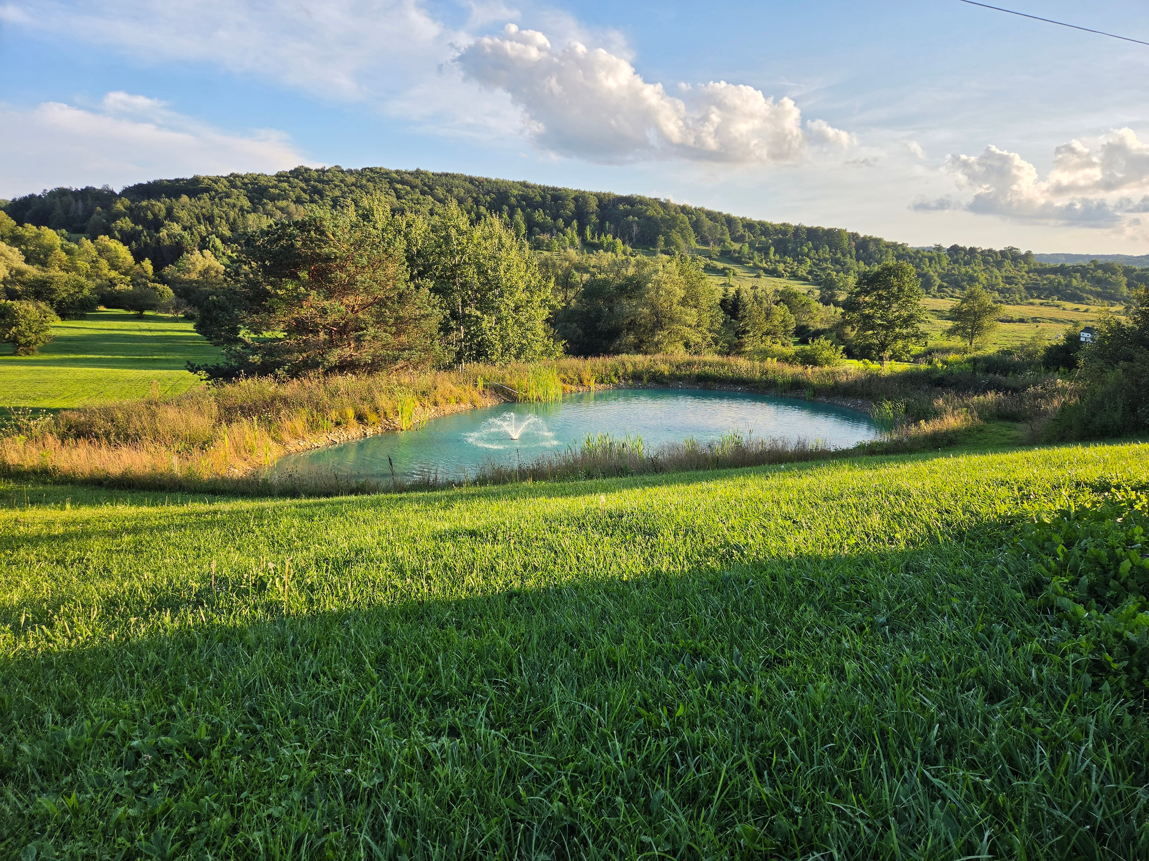 Pond in the valley
